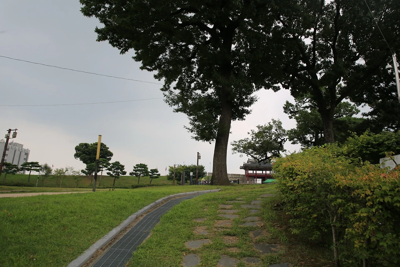 MG0A9076_новый размер.JPG