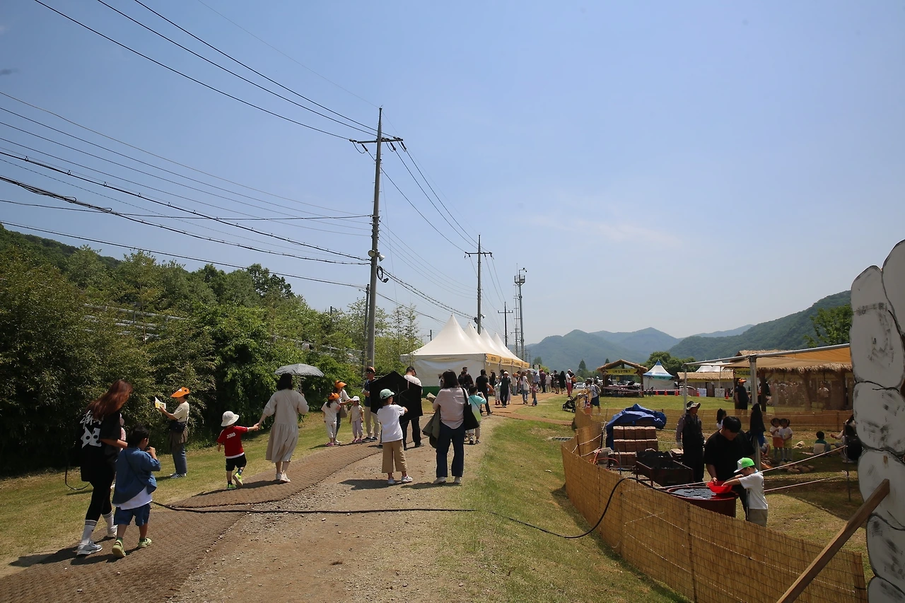 MG0A2446_новый размер.JPG