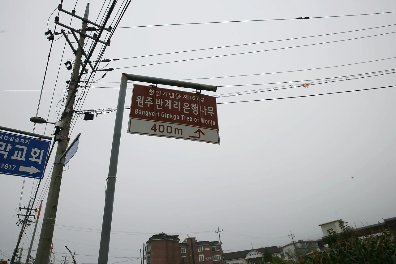 MG0A3567_новый размер_exposure.JPG