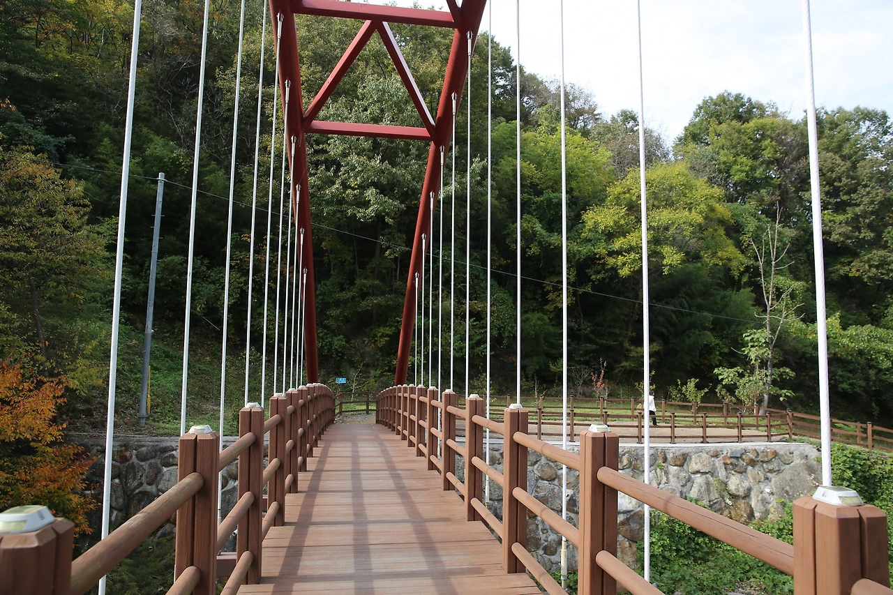 MG0A7862_новый размер.JPG