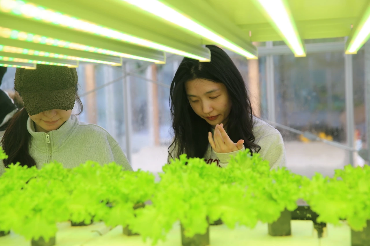 MG0A2378_новый размер.JPG