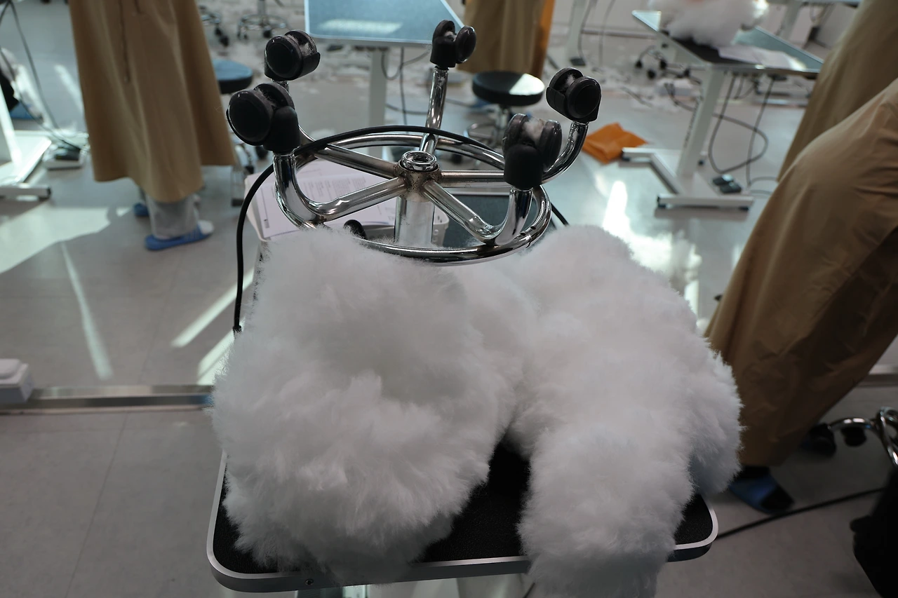 0R5A8555_новый размер.JPG