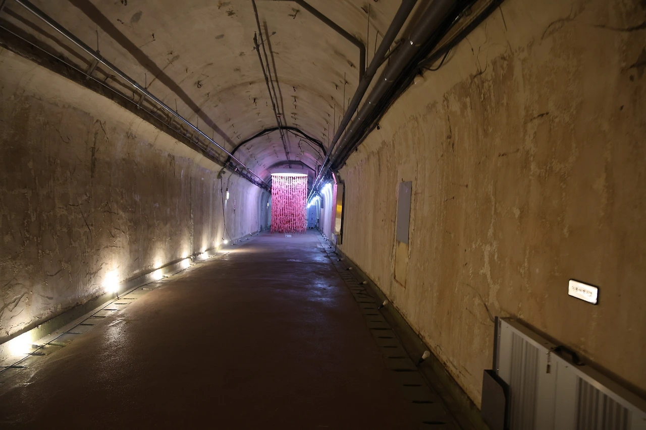 0R5A3494_новый размер.JPG