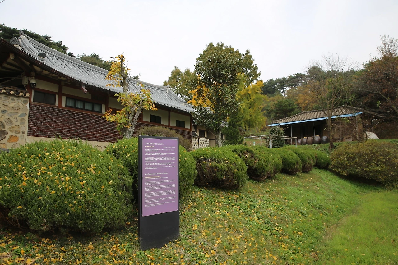 MG0A9734_новый размер.JPG