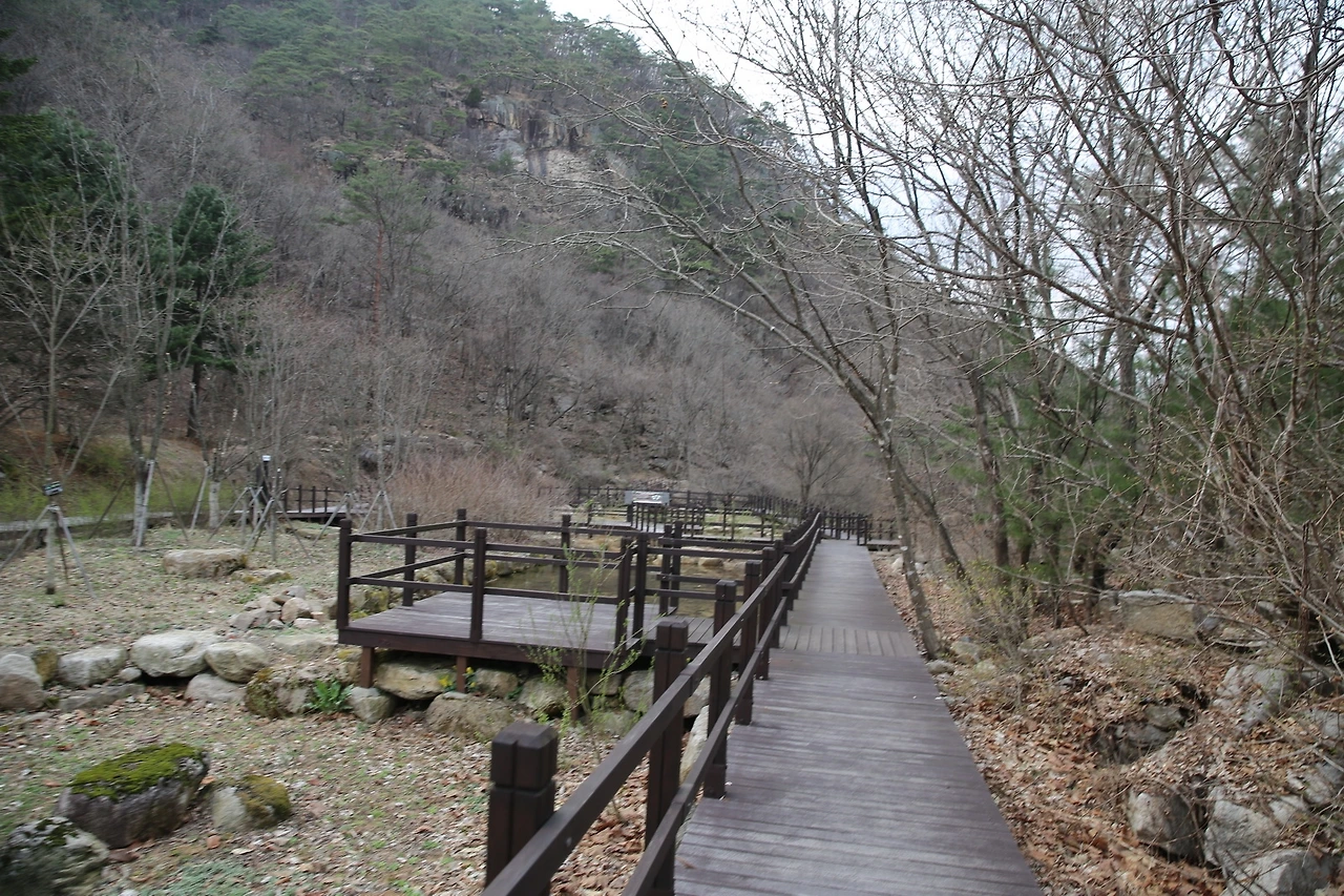 MG0A8377_новый размер.JPG