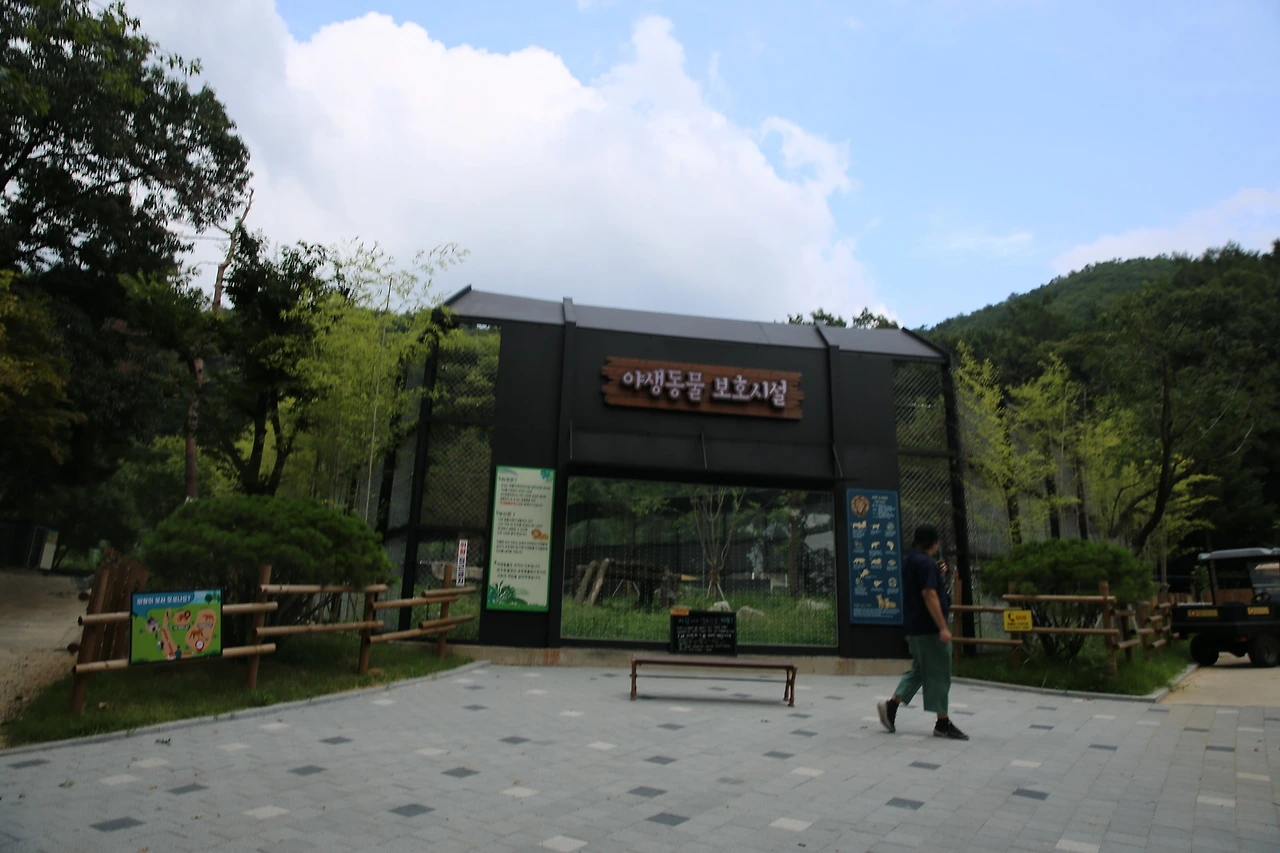 MG0A9619_новый размер.JPG