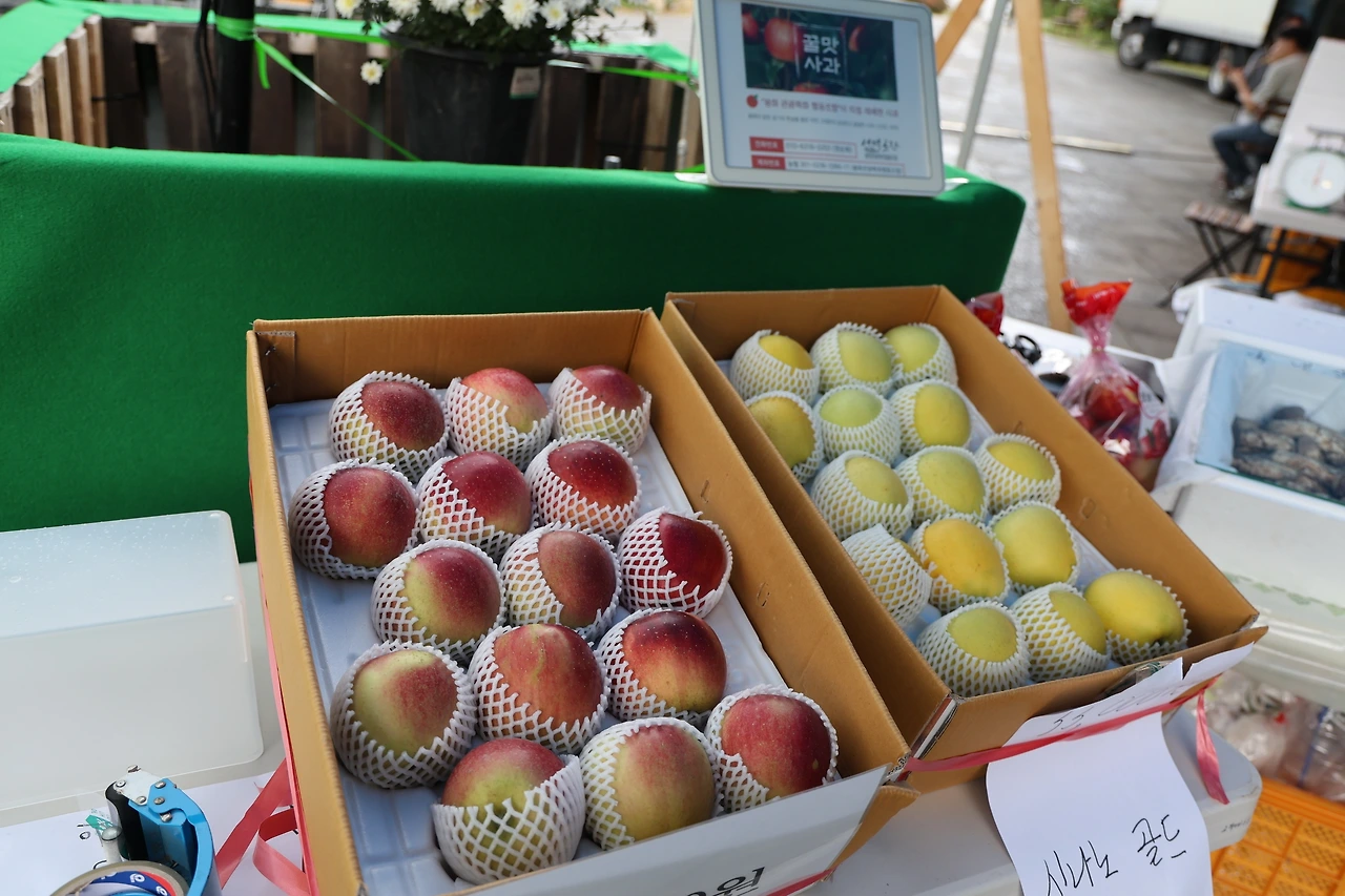 0R5A9836_новый размер.JPG