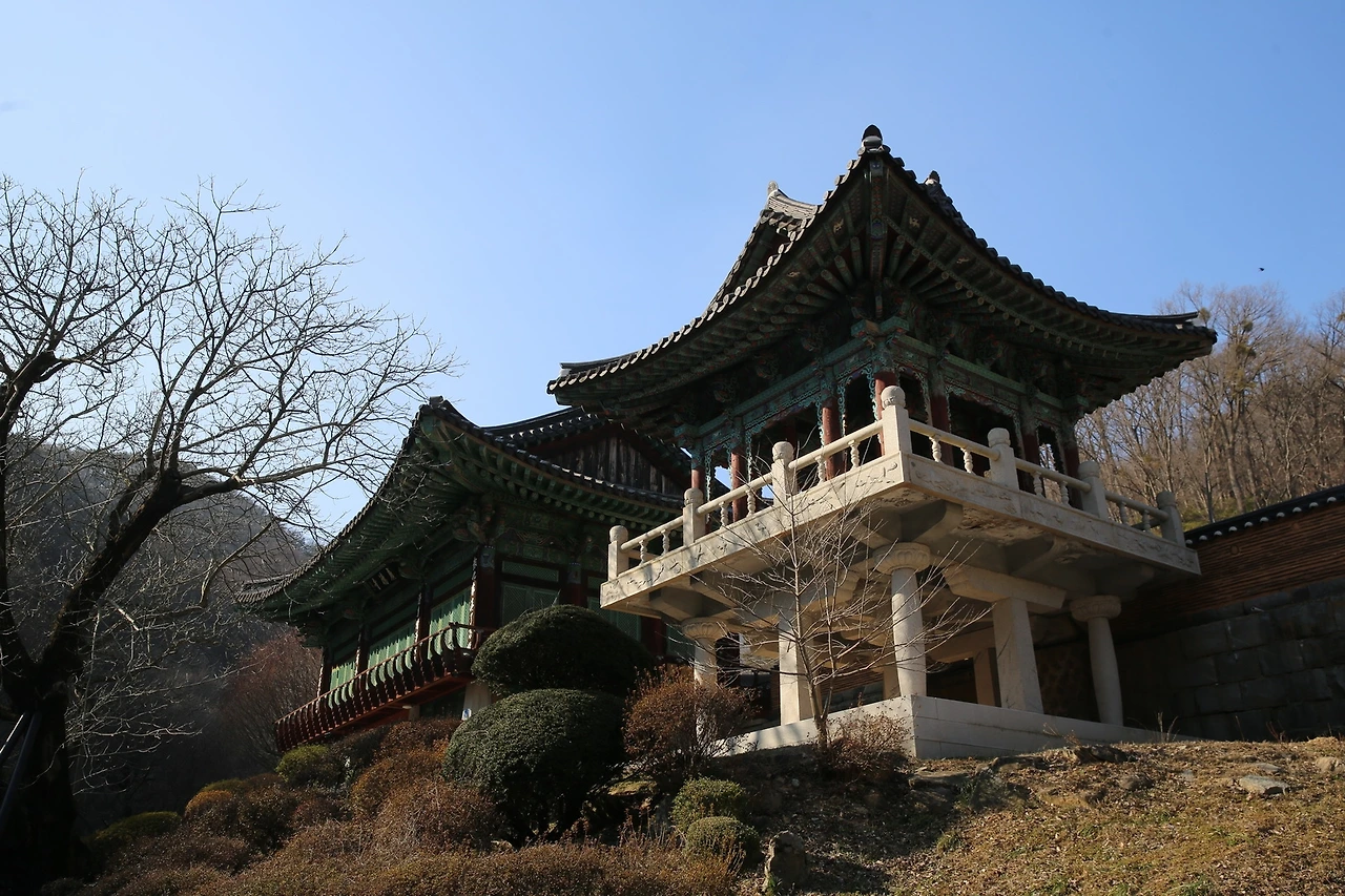 MG0A4404_новый размер.JPG