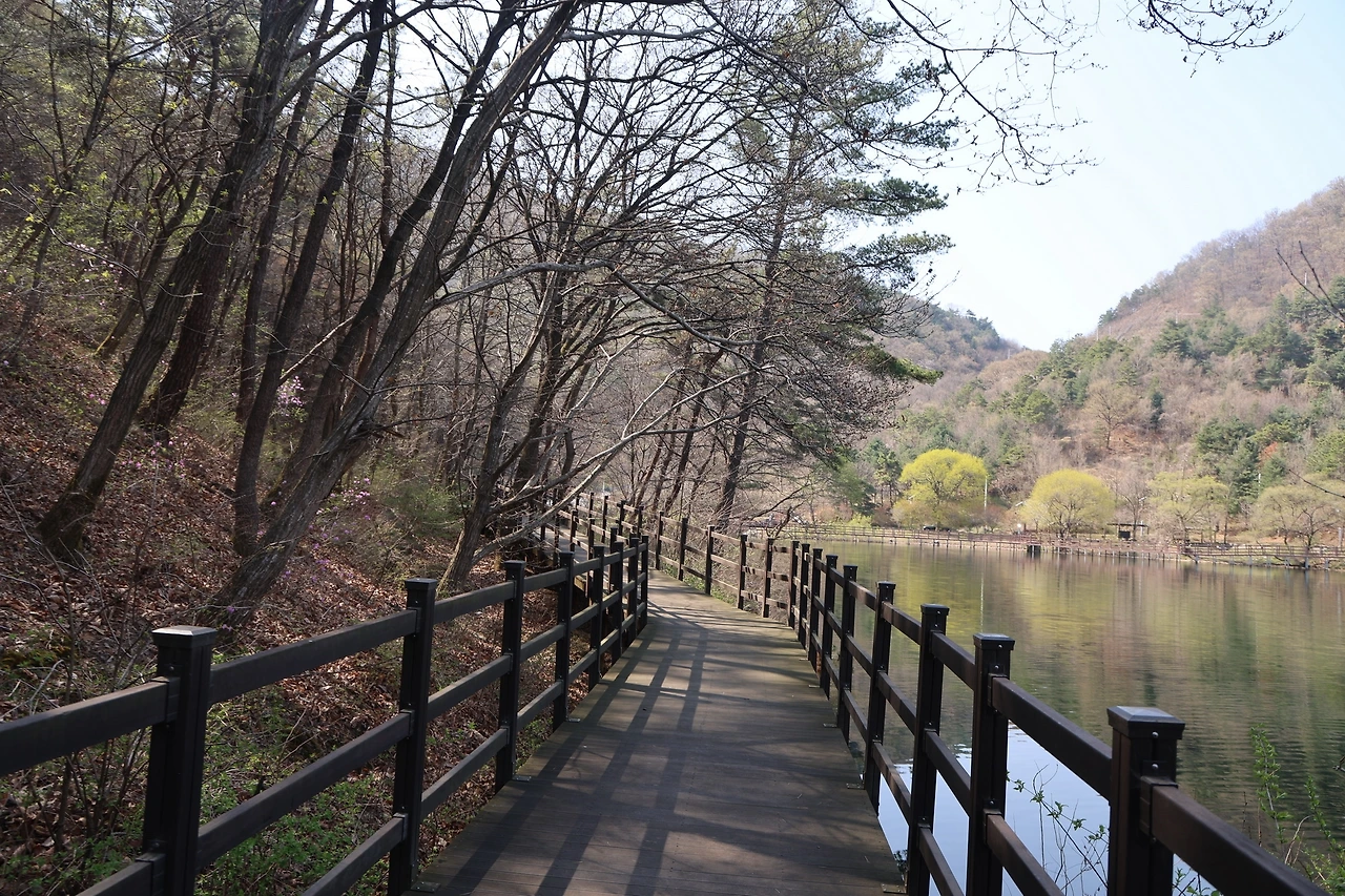 0R5A6482_новый размер.JPG