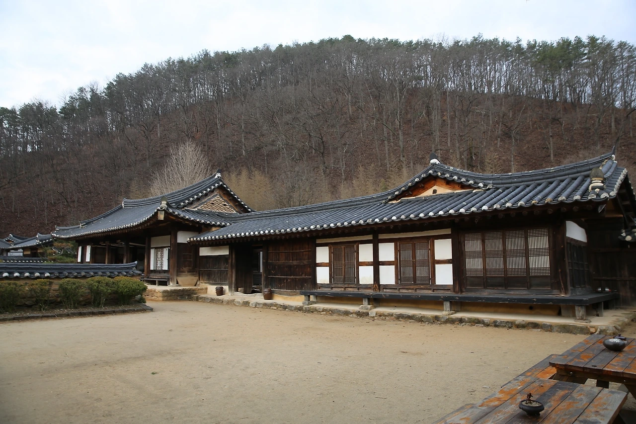 MG0A2486_новый размер.JPG