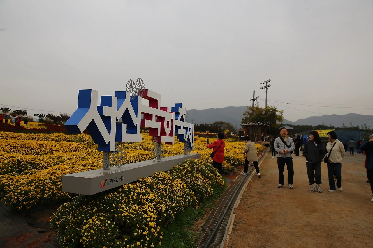 MG0A9627_новый размер.JPG