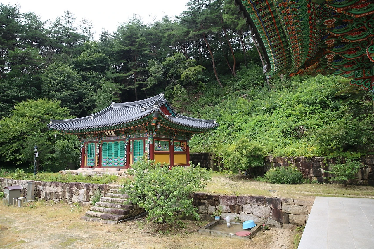 MG0A6454_новый размер.JPG