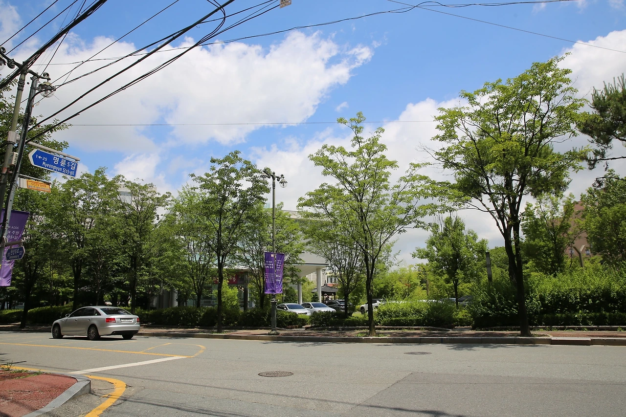 MG0A2073_новый размер.JPG