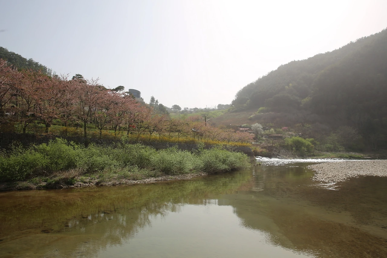 MG0A0023_новый размер.JPG