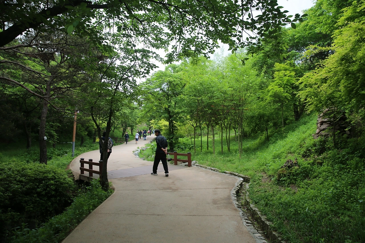 MG0A1538_новый размер.JPG