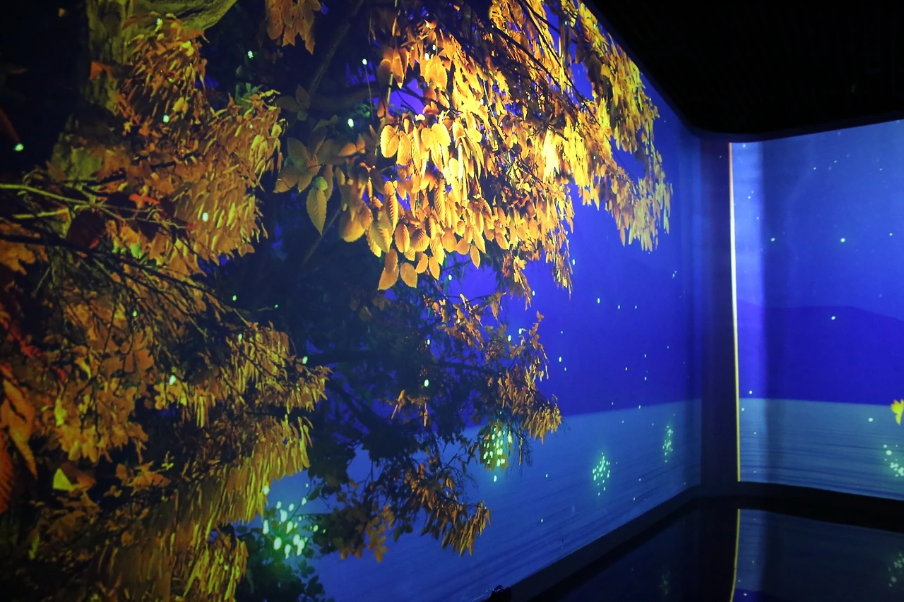 MG0A5071_новый размер.JPG