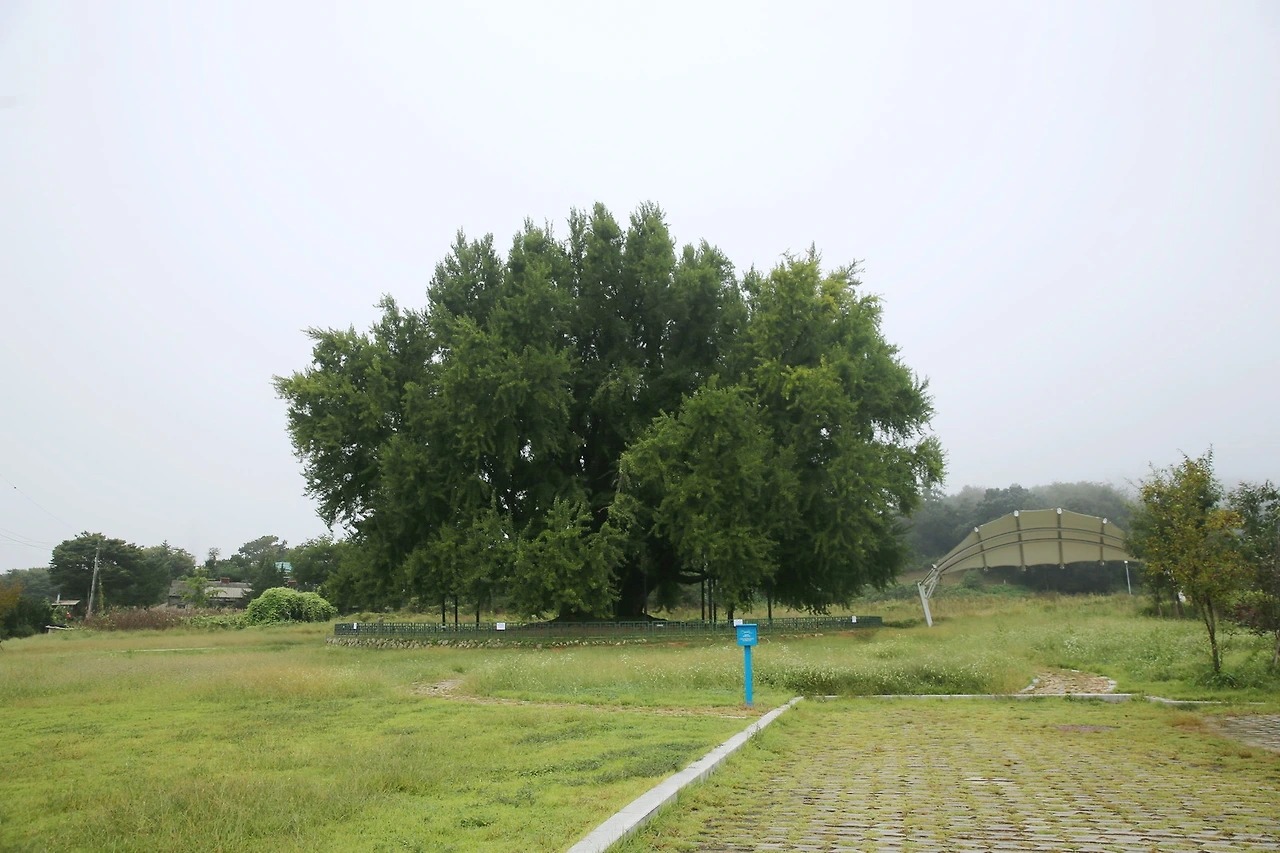 MG0A3568_новый размер_exposure.JPG