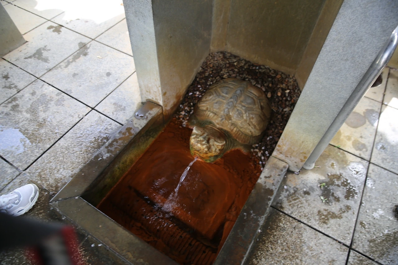 MG0A0123_новый размер.JPG