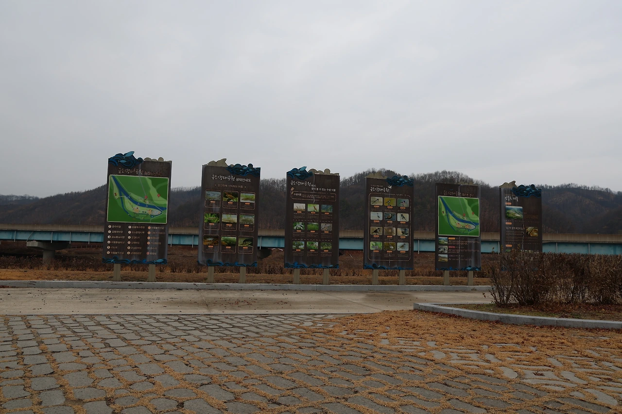 0R5A6634_новый размер.JPG