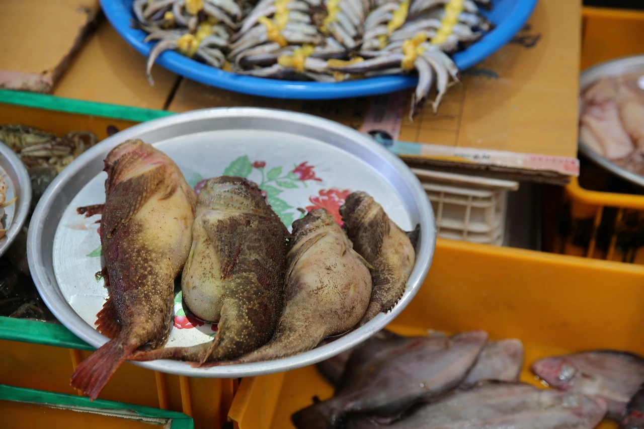 MG0A6469_новый размер.JPG