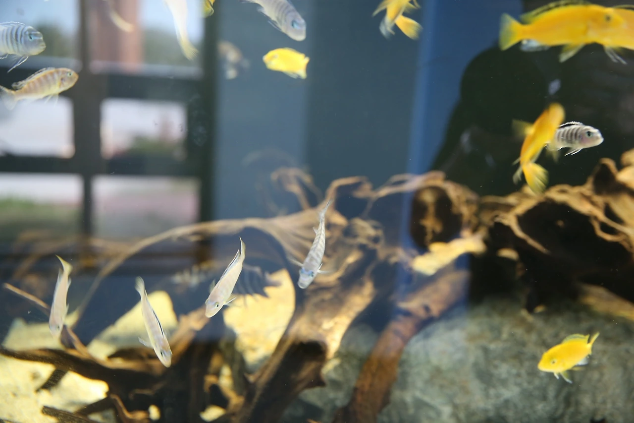 MG0A9705_новый размер.JPG