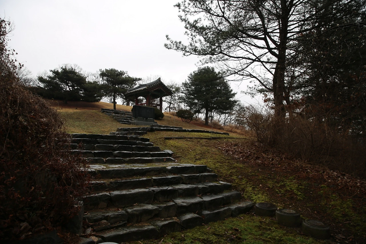 MG0A9885_новый размер.JPG