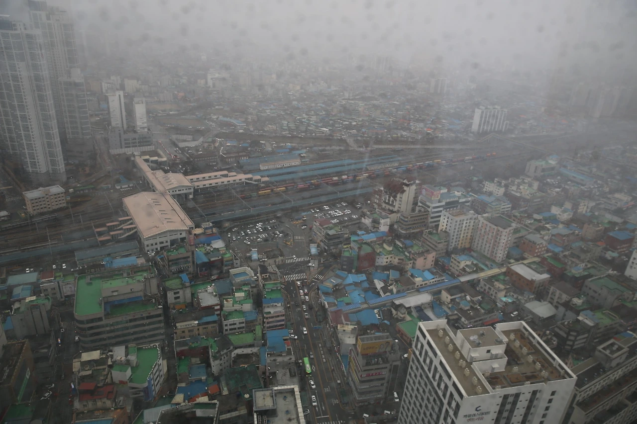 MG0A0004_новый размер.JPG