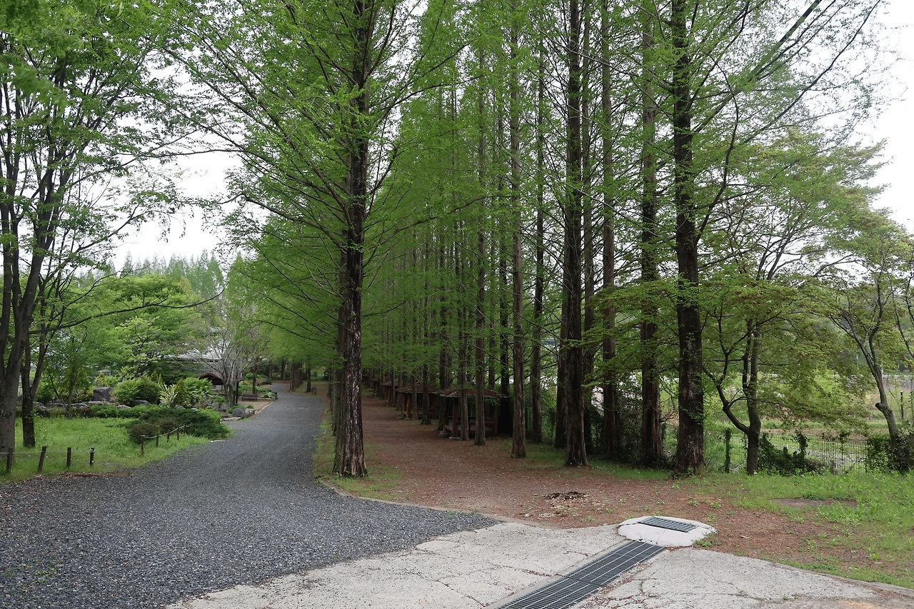 0R5A7596_новый размер.JPG