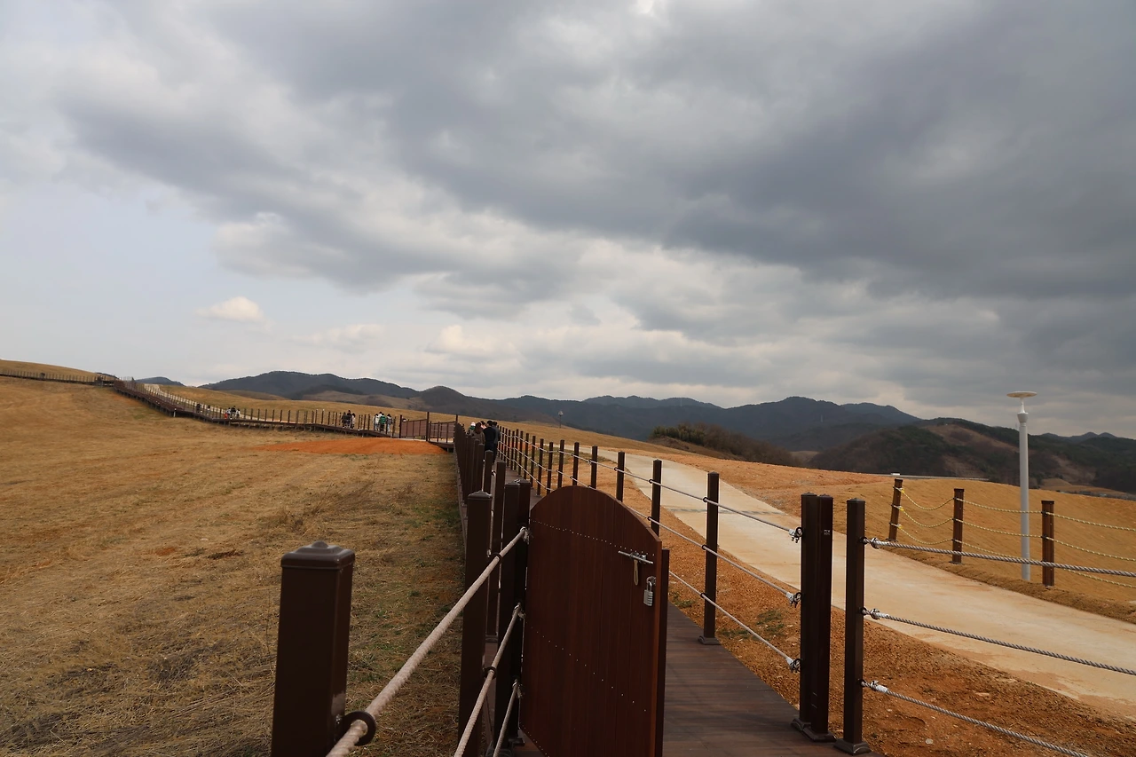 0R5A2809_новый размер.JPG