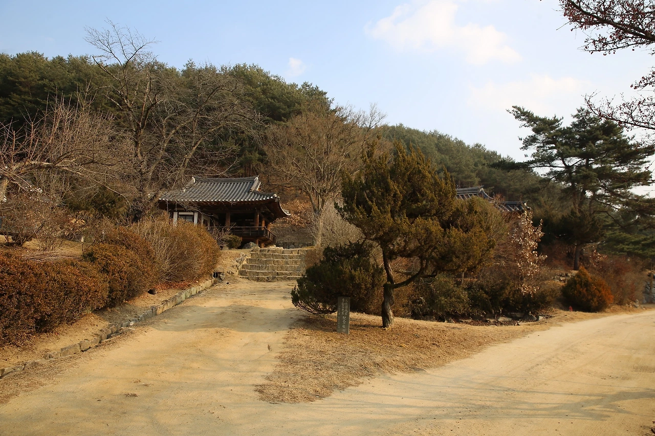 MG0A6370_новый размер.JPG