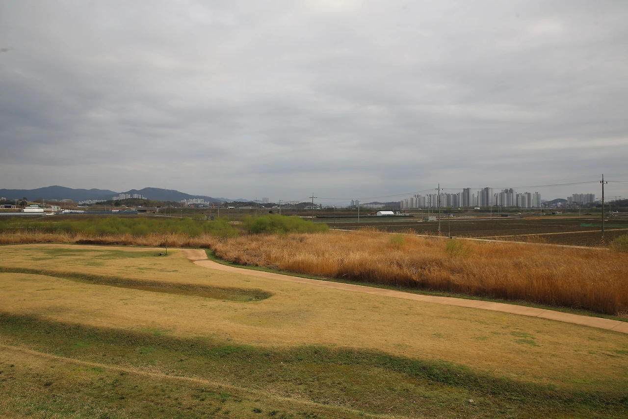 MG0A8247_новый размер.JPG