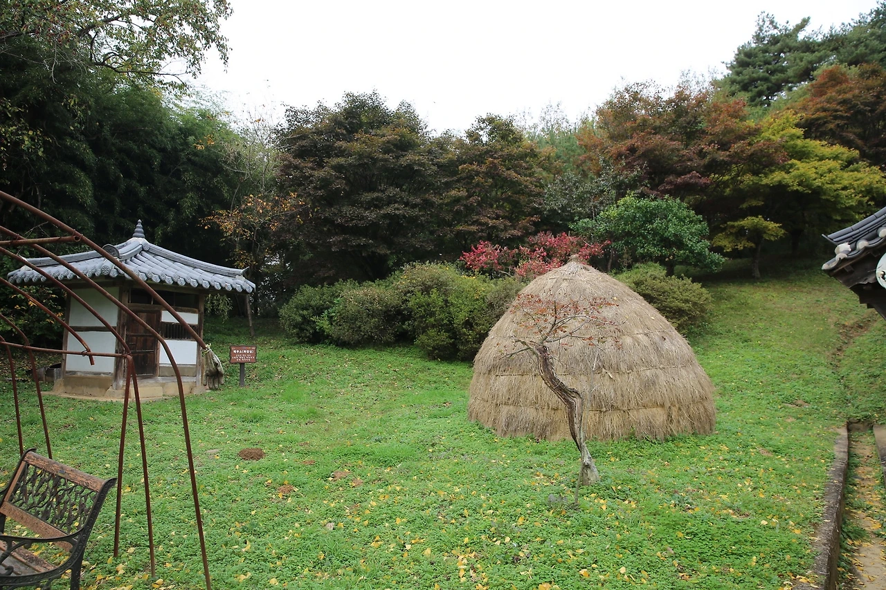 MG0A9736_новый размер.JPG