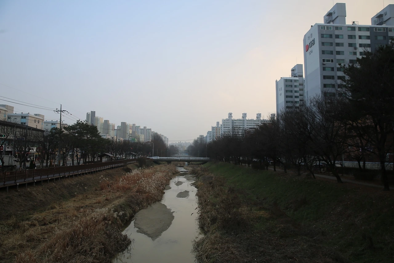 MG0A5589_новый размер.JPG