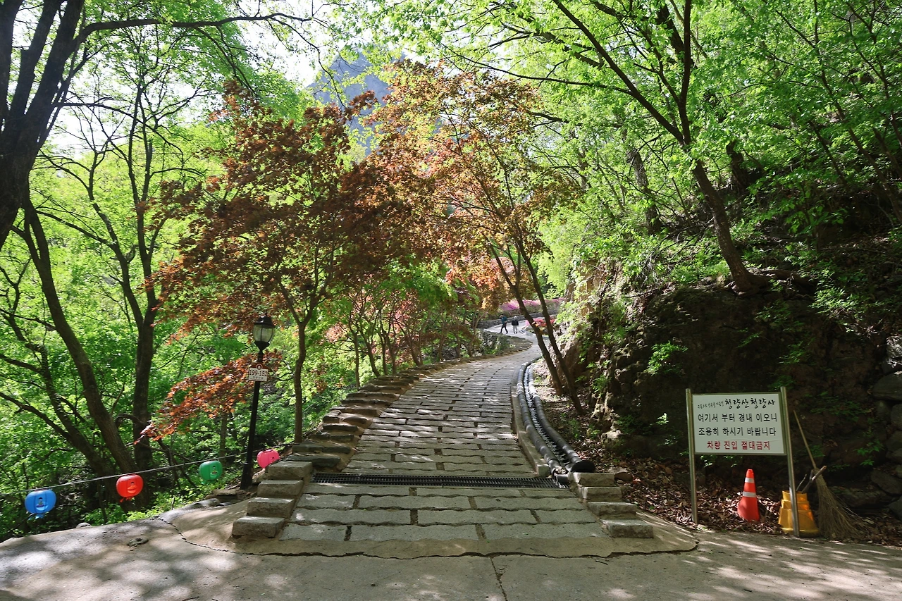 0R5A9606_новый размер.JPG