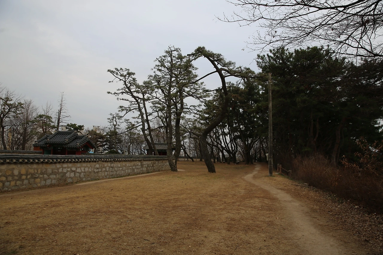 MG0A4627_новый размер.JPG