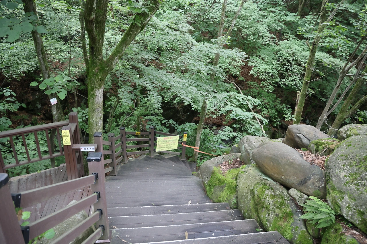 0R5A7526_новый размер.JPG