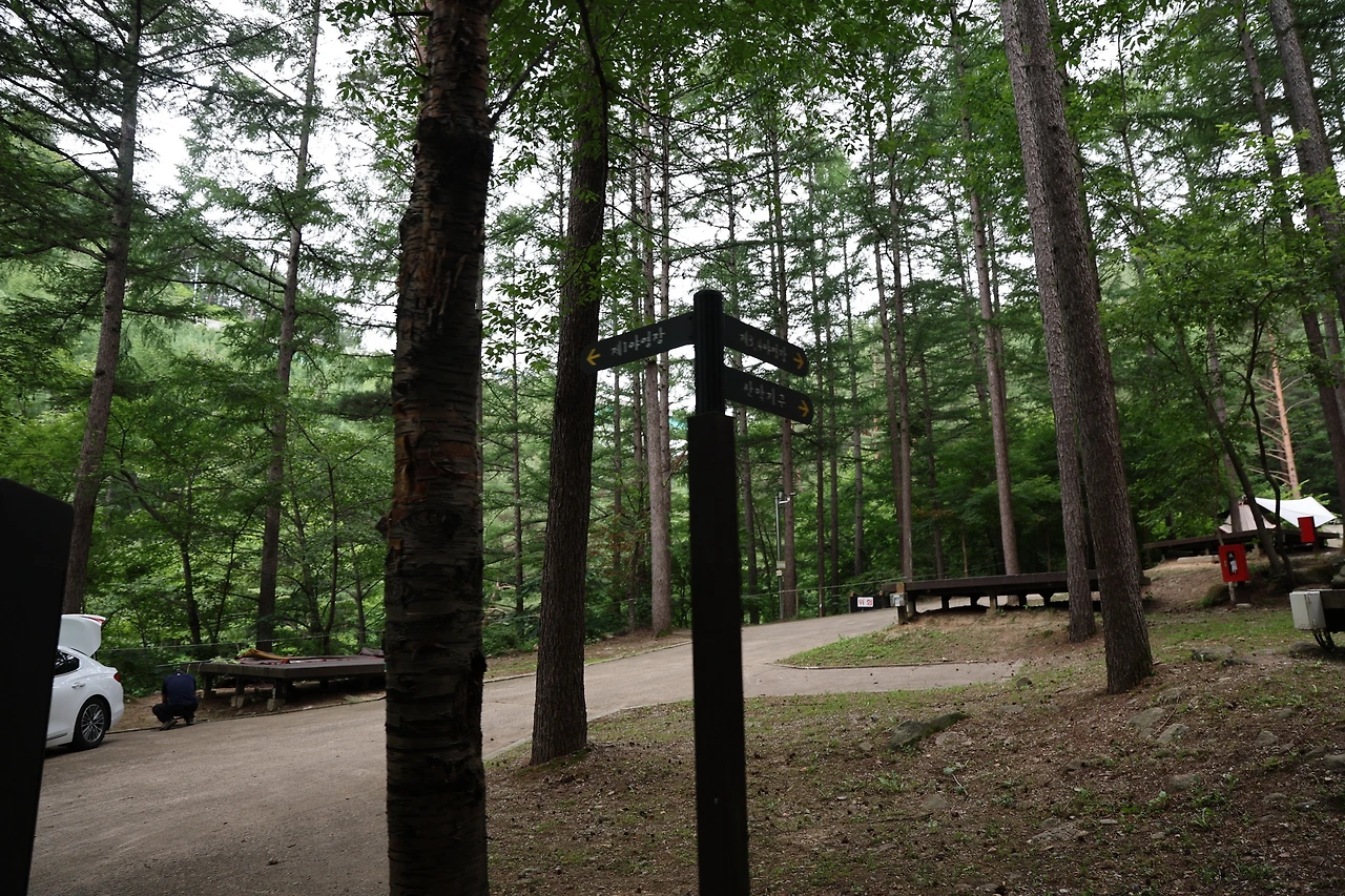 0R5A8663_новый размер.JPG