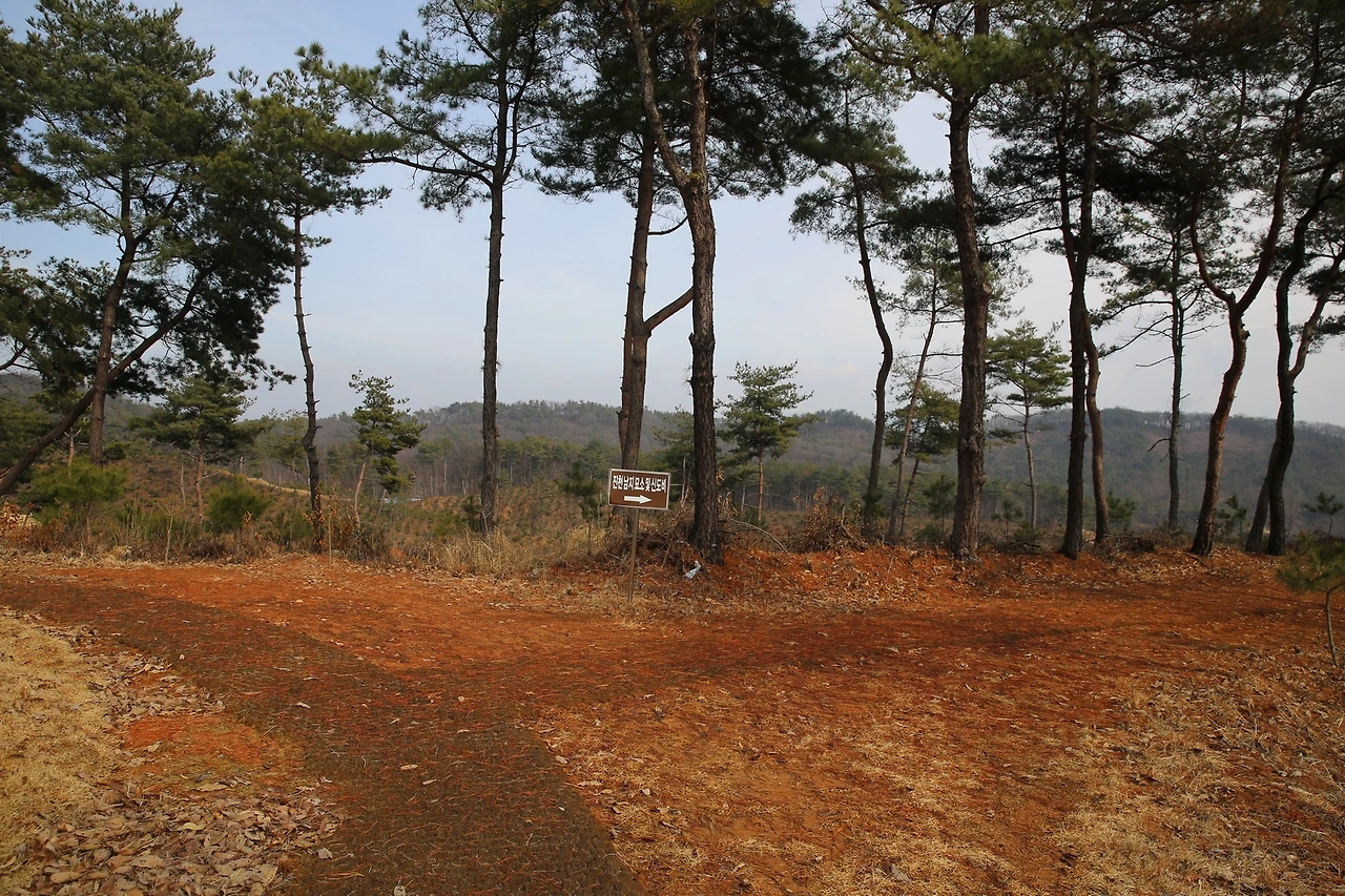 MG0A1517_новый размер.JPG