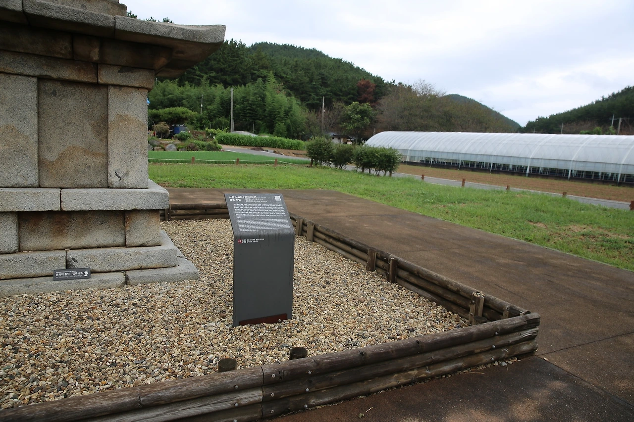 MG0A2469_новый размер.JPG