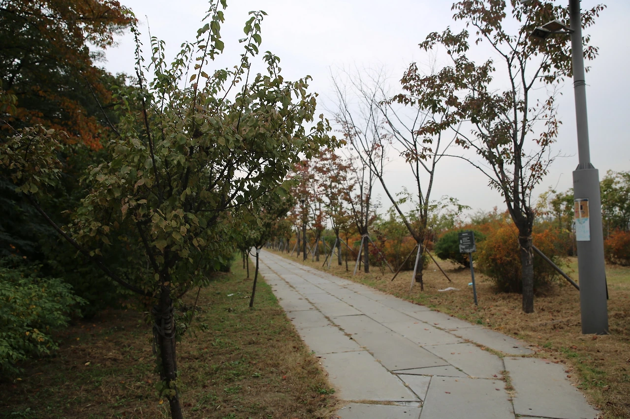 MG0A8386_resize - 복사본.JPG