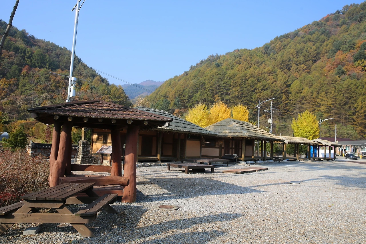 MG0A7902_новый размер.JPG