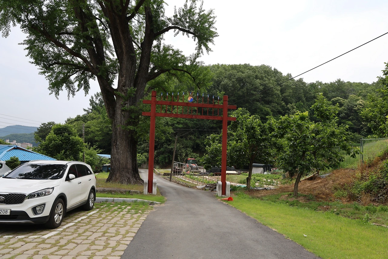 0R5A4342_новый размер.JPG