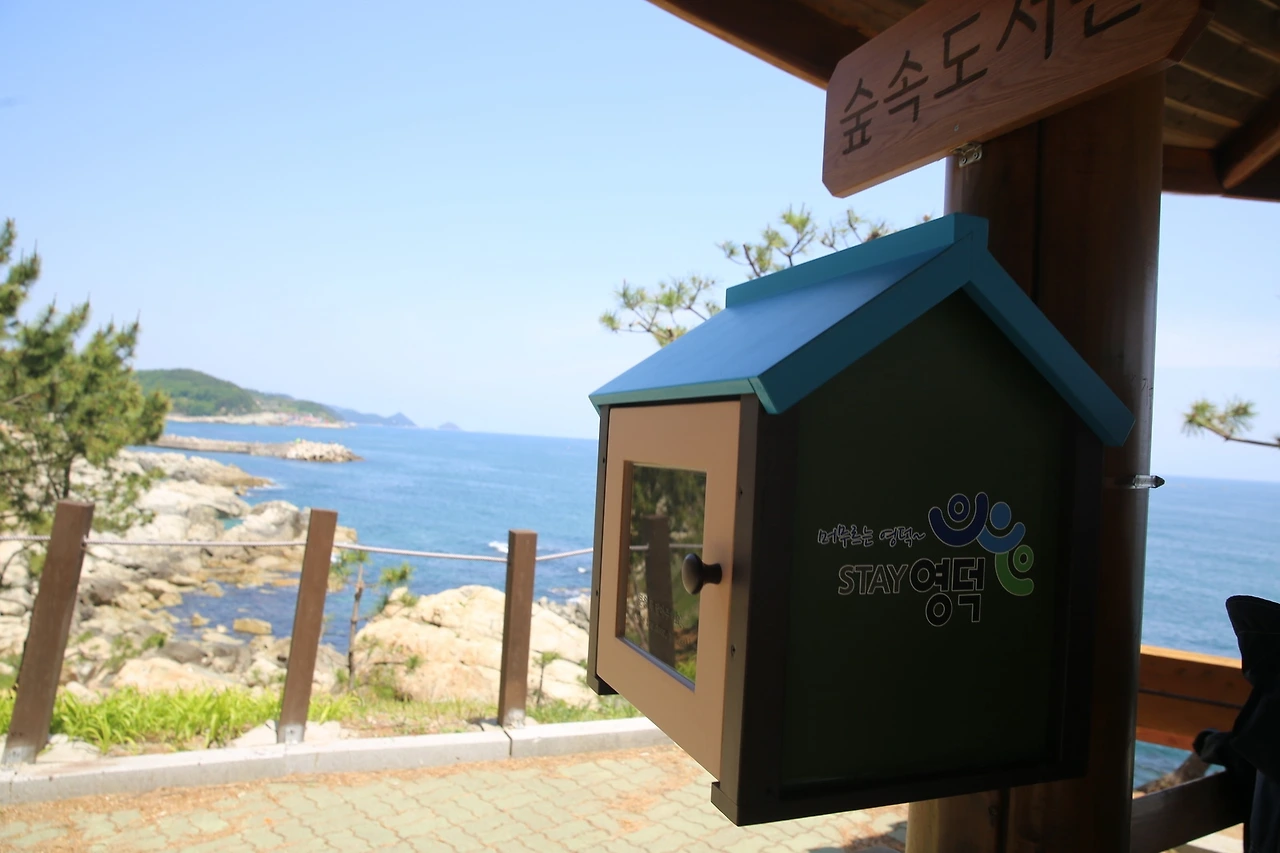 MG0A9271_новый размер.JPG