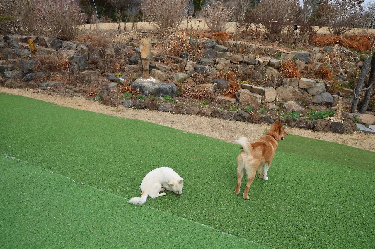 0R5A2320_новый размер.JPG