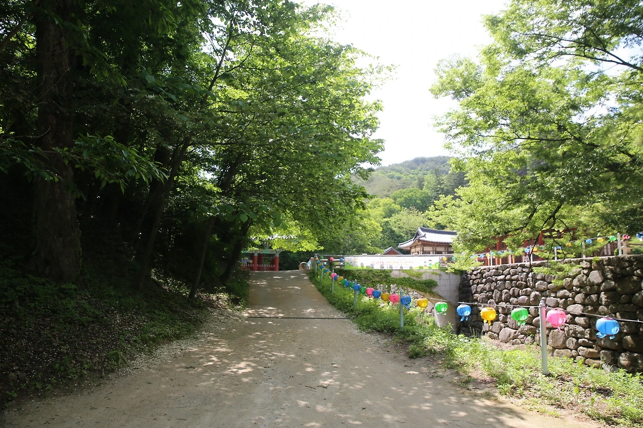 MG0A9384_новый размер.JPG