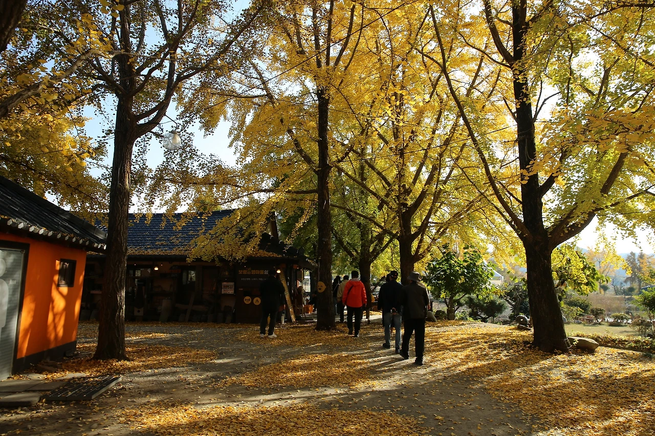 MG0A9346_новый размер.JPG