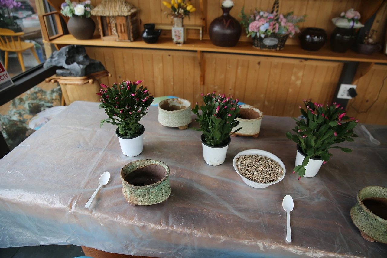 MG0A0658_новый размер.JPG