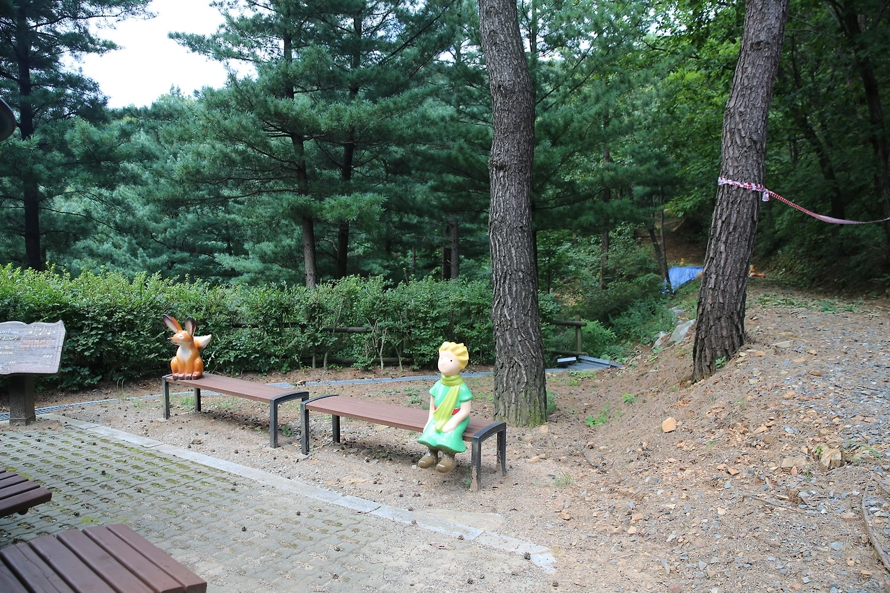 MG0A7918_новый размер.JPG