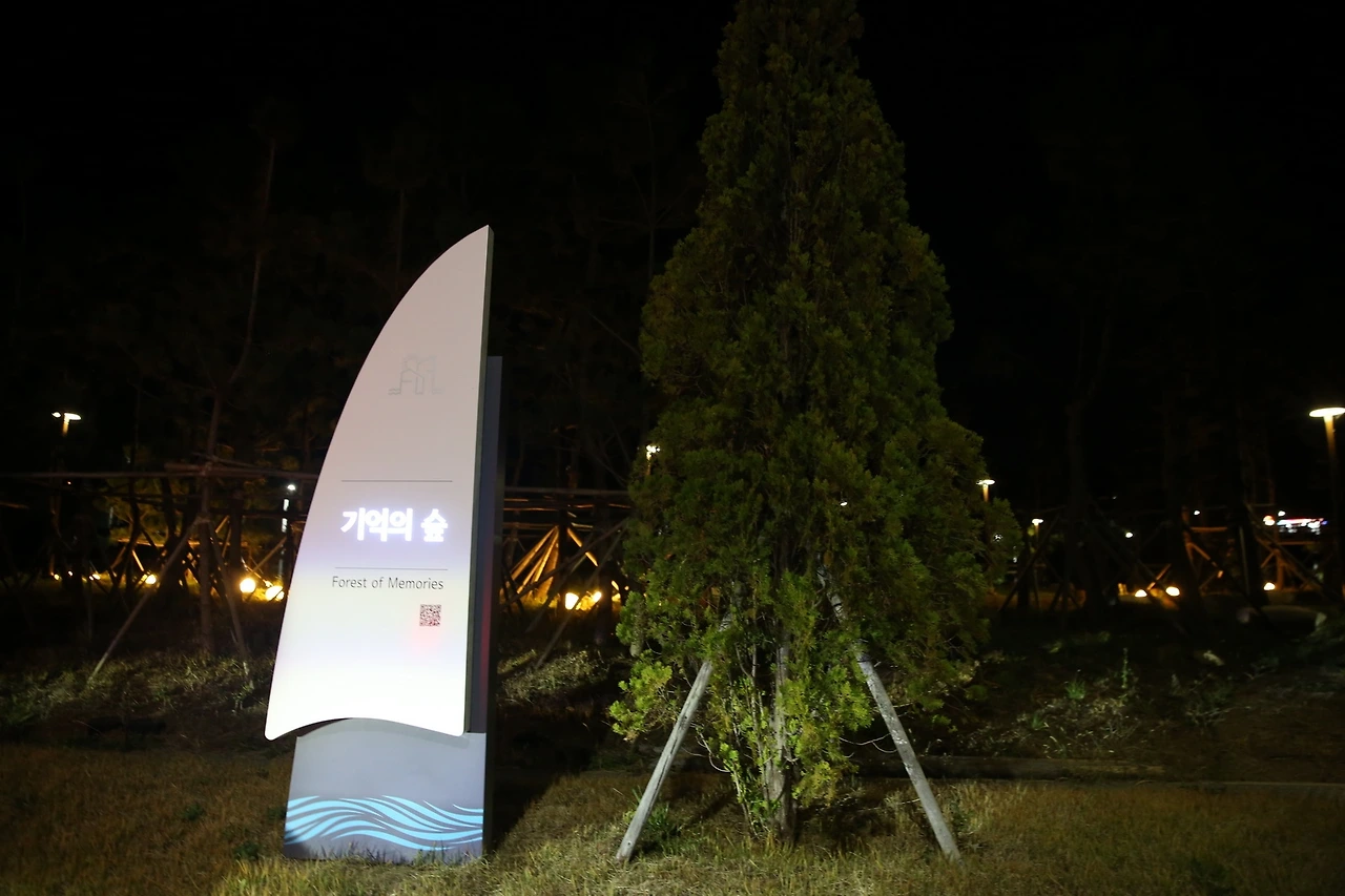 MG0A2386_новый размер.JPG