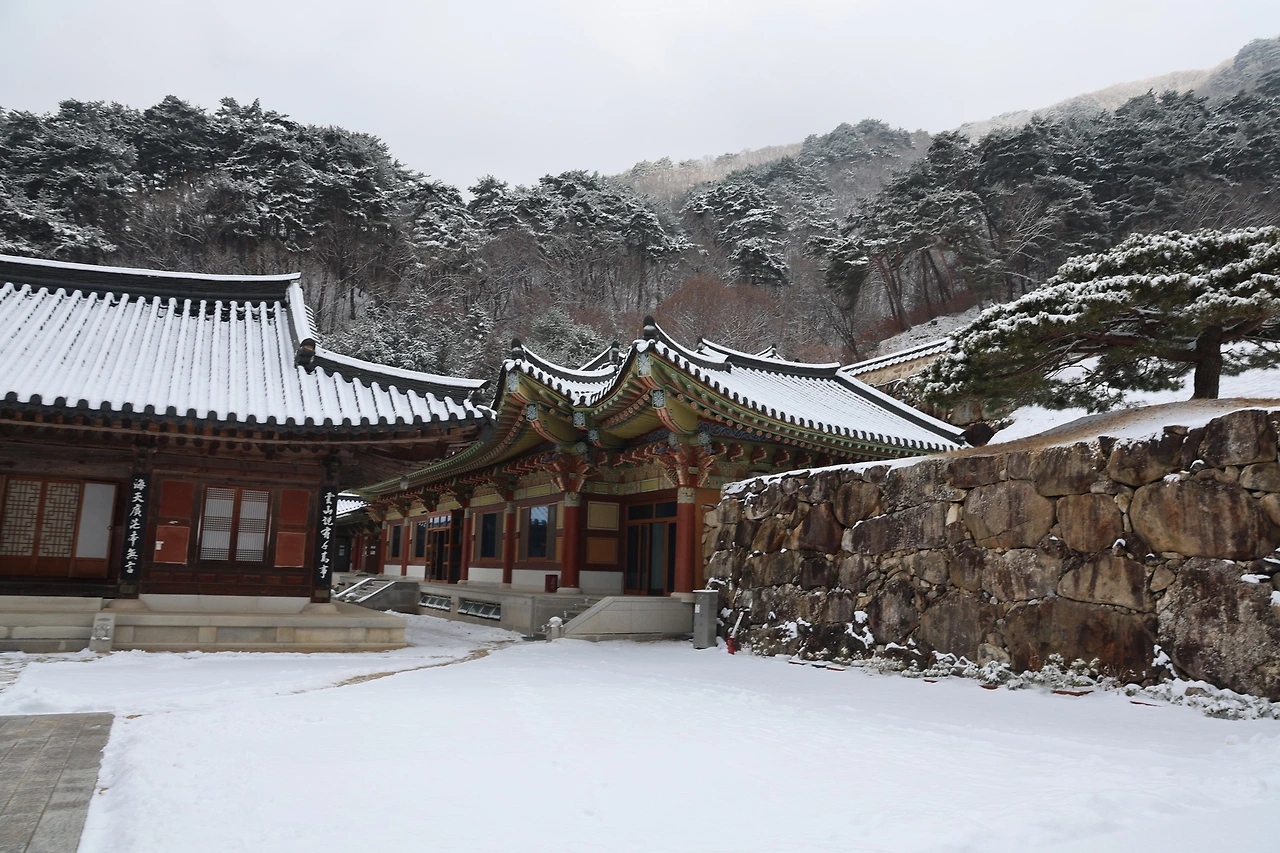 0R5A3173_новый размер.JPG